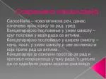 Савремена канцеларија - slide 1