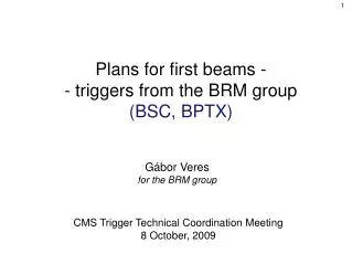 Plans for first beams - - triggers from the BRM group (BSC, BPTX)