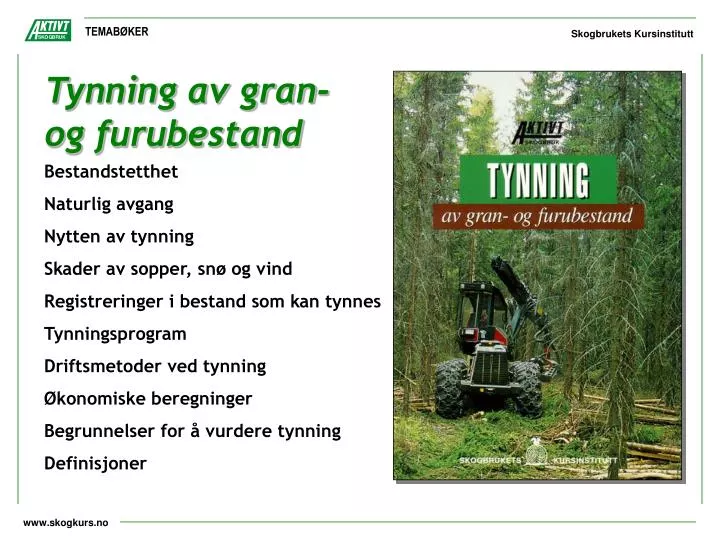 tynning av gran og furubestand