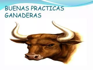 buenas practicas ganaderas
