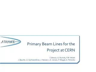 Primary Beam Lines for the Project at CERN