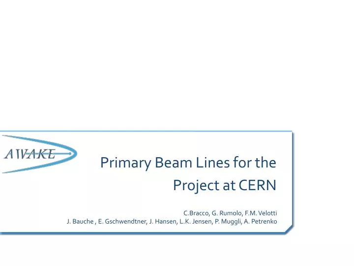 primary beam lines for the project at cern