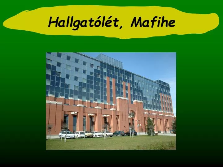 hallgat l t mafihe