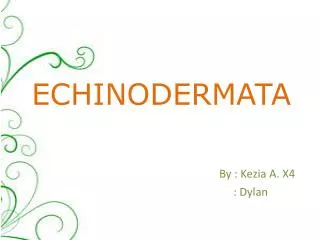 echinodermata