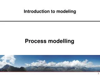 Process modelling