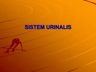 sistem urinalis