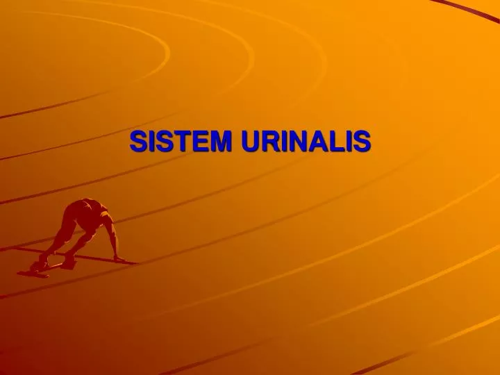 sistem urinalis
