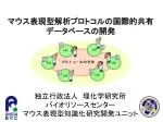 独立行政法人　理化学研究所 バイオリソースセンター マウス表現型知識化研究開発ユニット - slide 1