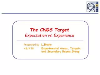 The CNGS Target Expectation vs. Experience
