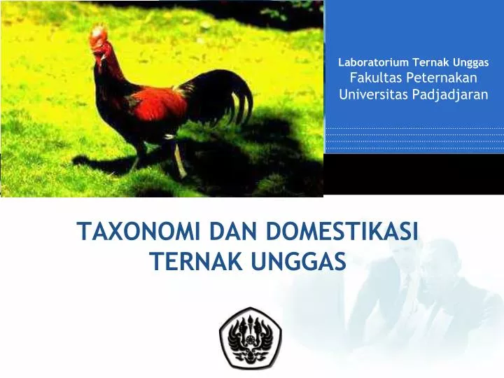 taxonomi dan domestikasi ternak unggas