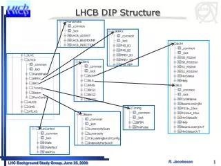 LHCB DIP Structure