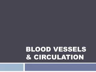 Blood Vessels &amp; Circulation