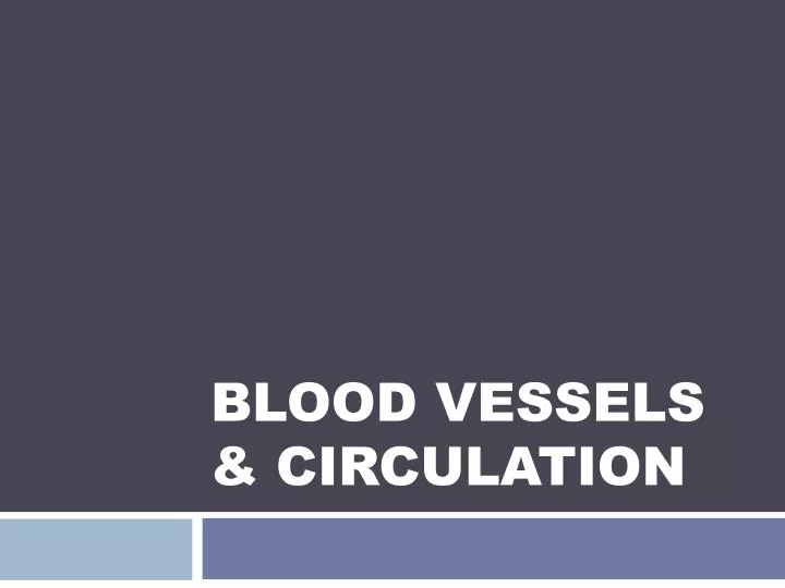 blood vessels circulation