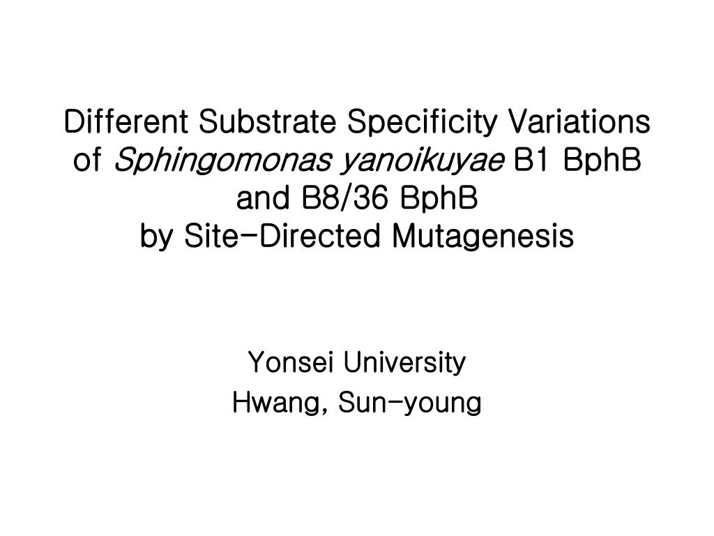 PPT - Yonsei University Hwang, Sun-young PowerPoint Presentation, free ...