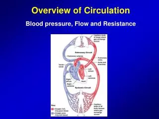 Overview of Circulation Blood pressure, Flow and Resistance