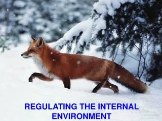 REGULATING THE INTERNAL ENVIRONMENT