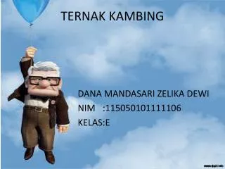 ternak kambing