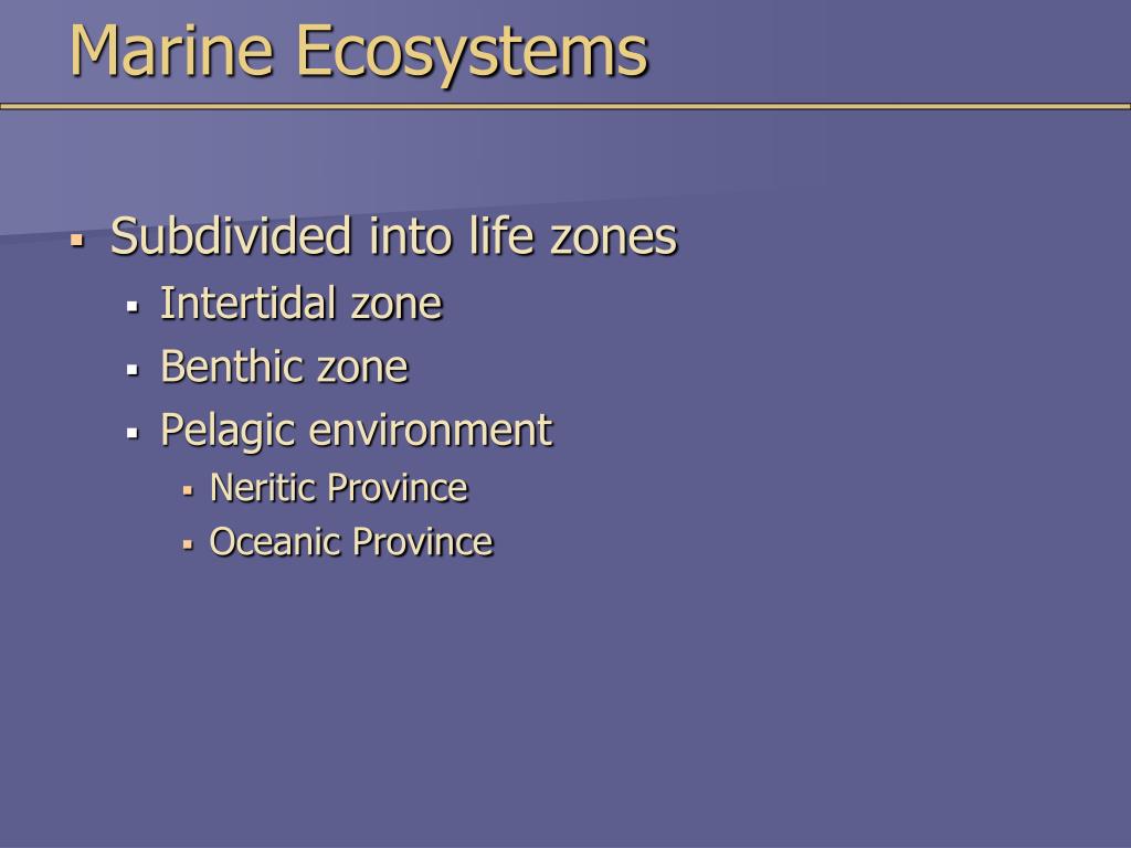 PPT - Marine Ecosystems PowerPoint Presentation, free download - ID:3785243