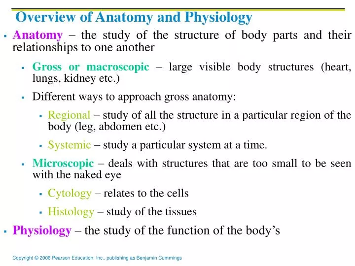 overview of anatomy and physiology