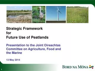 Strategic Framework for Future Use of Peatlands