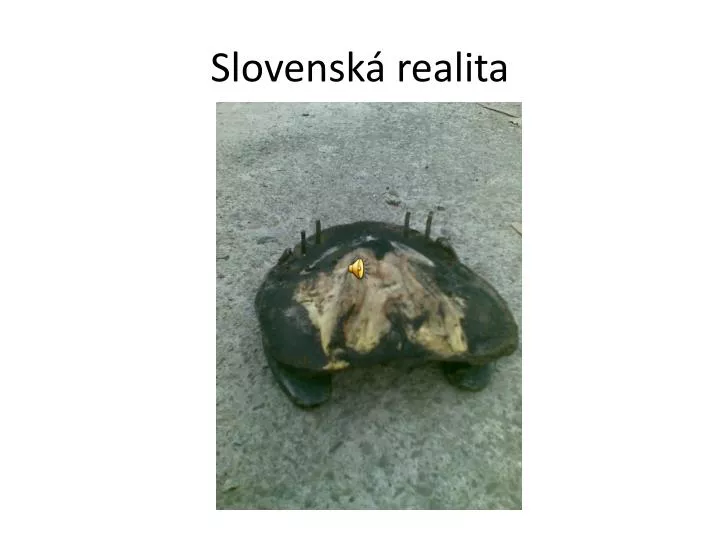 slovensk realita