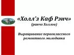 «Холл ’ з Каф Рэнч» ( ранчо Холлов ) Выращивание первоклассного ремонтного молодняка - slide 1