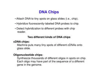 DNA Chips
