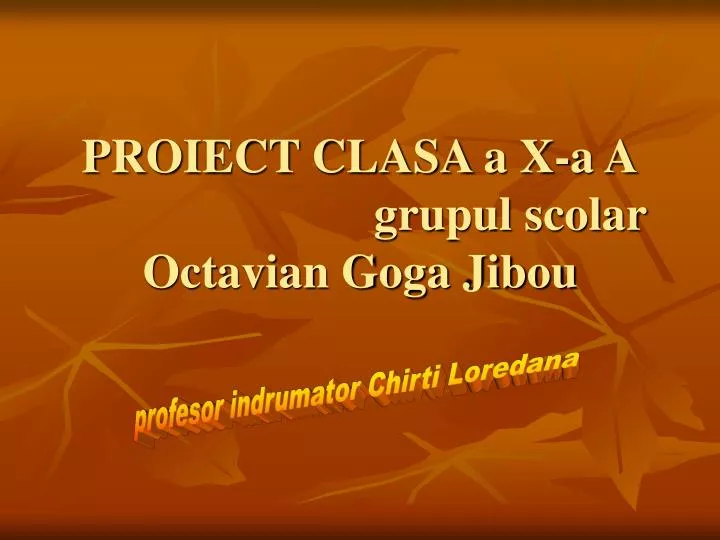 proiect clasa a x a a grupul scolar octavian goga jibou