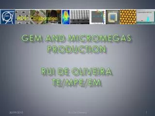 GEM and Micromegas production Rui De Oliveira TE/MPE/EM