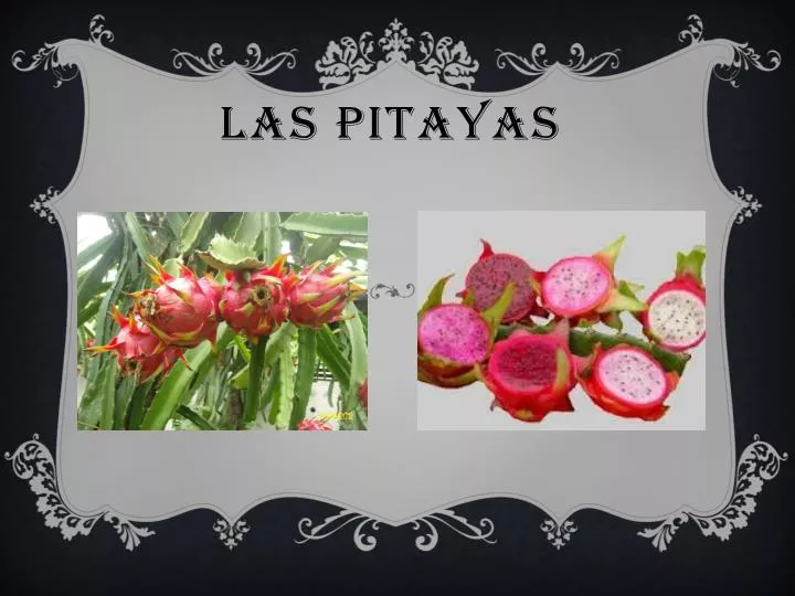 las pitayas
