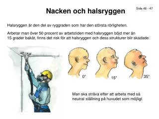 Nacken och halsryggen