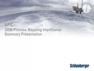 APC DRM Process Mapping Importance Summary Presentation