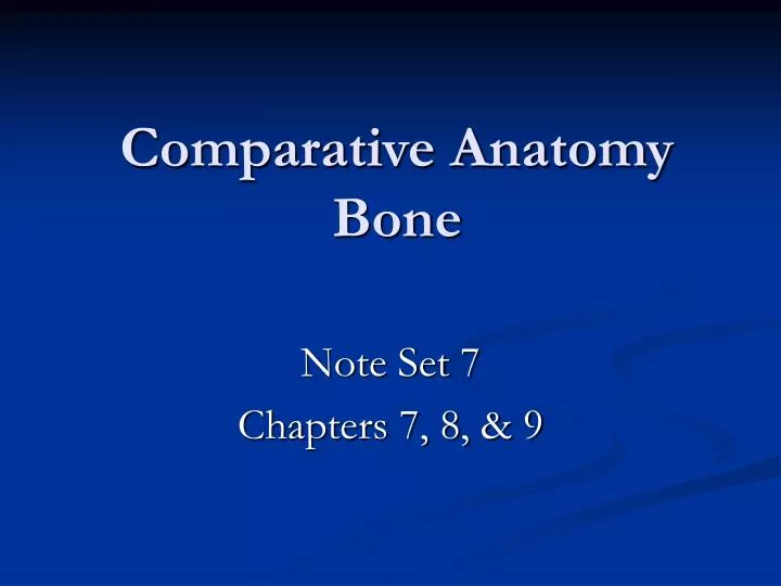 comparative anatomy bone