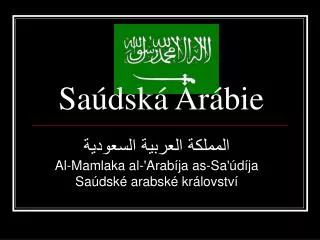 sa dsk ar bie