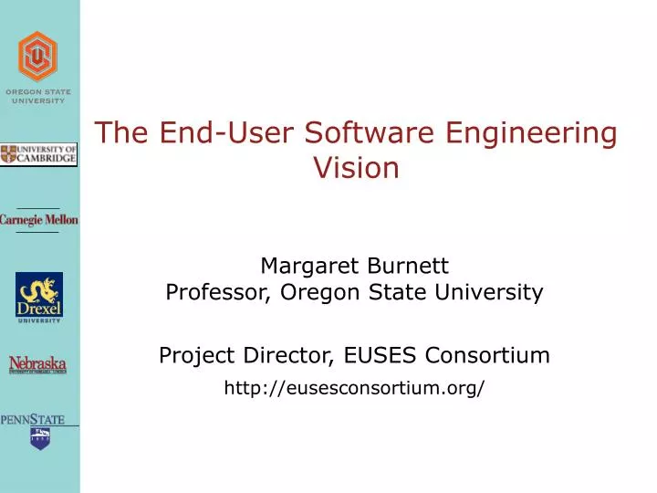 the end user software engineering vision