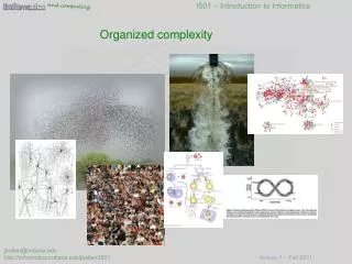 Organized complexity