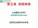 第五章 茶树病害 - slide 1