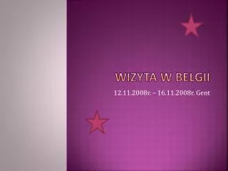 wizyta w belgii