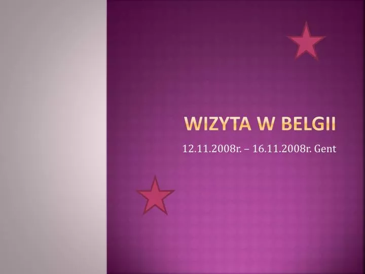 wizyta w belgii