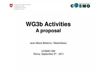 WG3b Activities A proposal