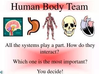 Human Body Team