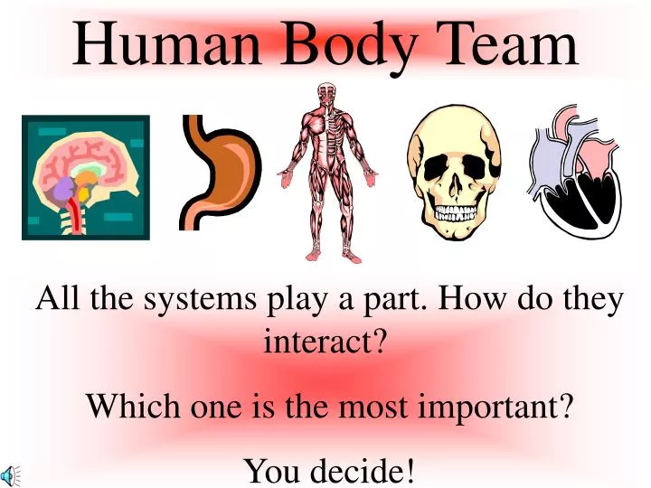 human body team