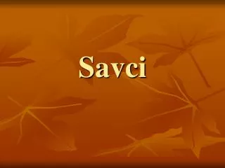 savci