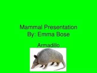 Mammal Presentation By: Emma Bose