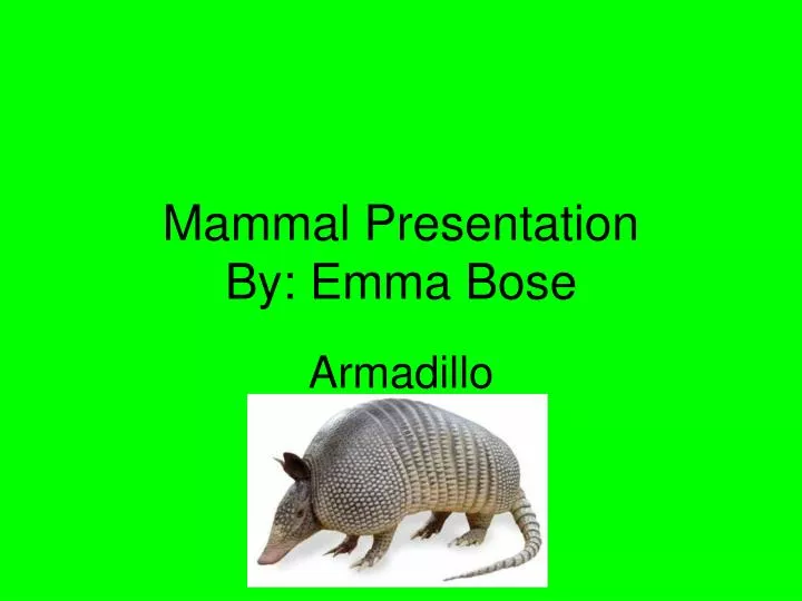 mammal presentation by emma bose