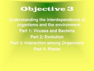 Objective 3