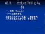 项目二 微生物的形态结构 - slide 1