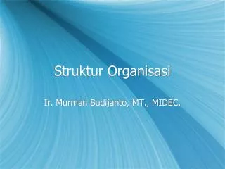 struktur organisasi