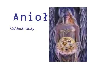anio y