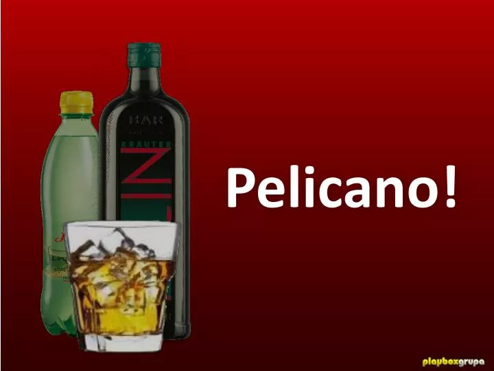 pelicano